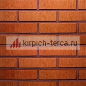 Кирпич керамический пустотелый Terca® RED шероховатый 250*120*65