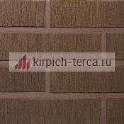 Кирпич керамический пустотелый Terca® TERRA шероховатый 250*120*65