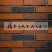 Кирпич керамический Terca® RED FLAME гладкий полнотелый 250*85*65